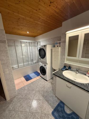 a bathroom with a sink and a washing machine at Appartamenti Posse- Verzasca in Lavertezzo