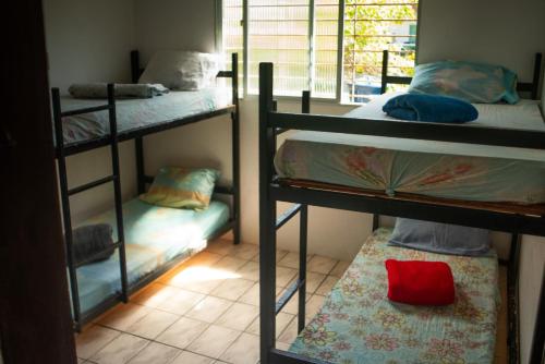 a room with three bunk beds and a window at Maraca Vibes Hostel in Porto De Galinhas