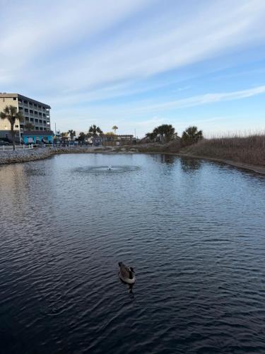 The Salty Turtle-Myrtle Beach Resort-Ocean View-2BD 2BTH photo 18