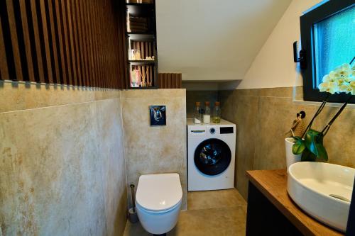 a bathroom with a washing machine and a sink at Skyline Skadar Lake in Karuč