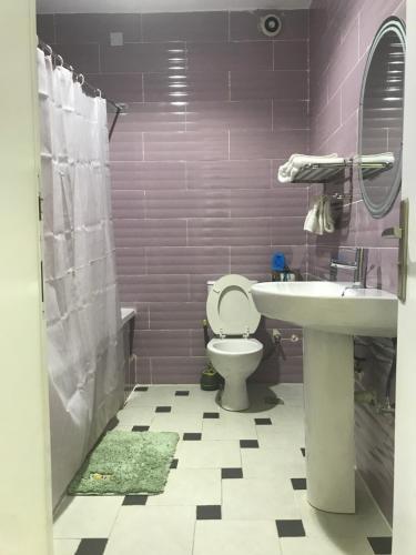 a bathroom with a toilet and a sink at ADJ Royalty Hotel & Suites in Benin City