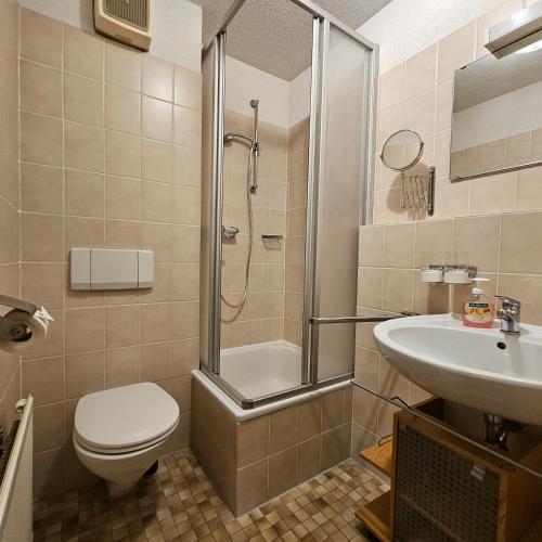 a bathroom with a shower and a toilet and a sink at FeWo Schwarzwaldglück Todtmoos mit Sauna, Tischtennis, Fitness, Stellplätzen in Todtmoos