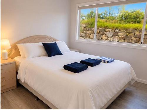 a bedroom with a bed with two blue pillows on it at 22 Pimpama Home in Pimpama