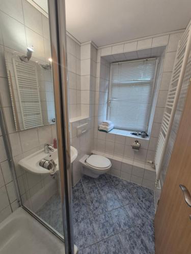 a bathroom with a toilet and a sink and a shower at Pension am Lindenbaum in Kirnitzschtal