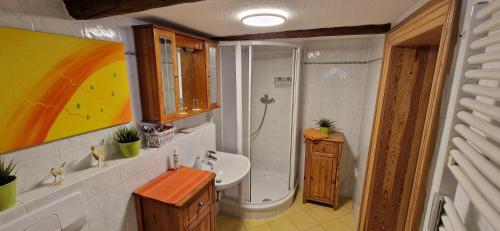 a bathroom with a shower and a toilet and a sink at Fewo2-Fliegenpilz in Bad Suderode