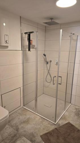 a shower stall in a bathroom with a toilet at Relax House in Dommitzsch