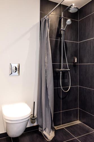 a bathroom with a shower and a toilet at Hotel Aurora in Nuuk