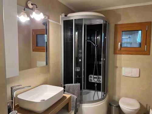 a bathroom with a sink and a shower and a toilet at Baita dell'Est in Mese