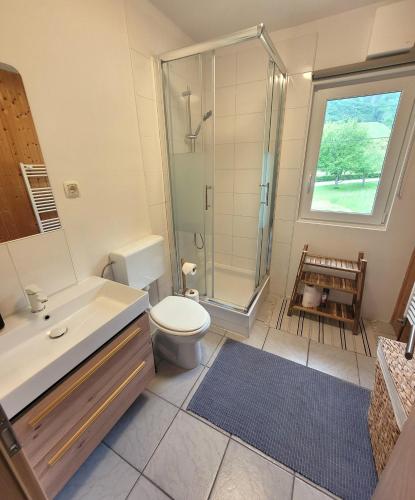 a bathroom with a shower and a toilet and a sink at Chalet Julian in Žaga