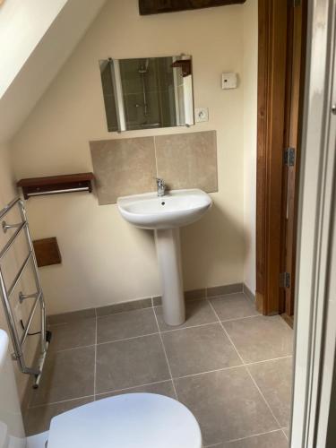 a bathroom with a sink and a toilet at La Bruyere in Saint-Pois