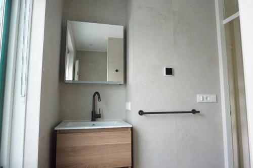 a bathroom with a sink and a mirror at Kustverhuur, Park Schoneveld, Zeemeeuw 138 in Breskens