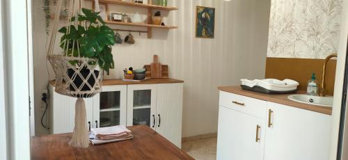 a kitchen with a potted plant on a table at "Les Chacobins" - appart'étape avec Garage Vélos in La Réole