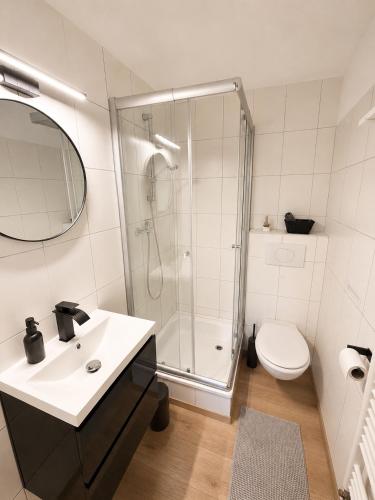 a bathroom with a shower and a sink and a toilet at Ferienhaus Wacholder in Mechernich
