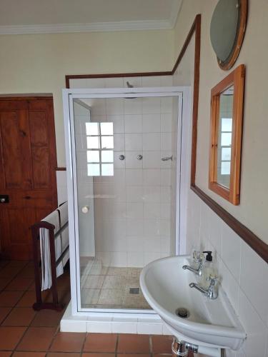 a bathroom with a shower and a white sink at De Kothuize 6 in Graaff-Reinet
