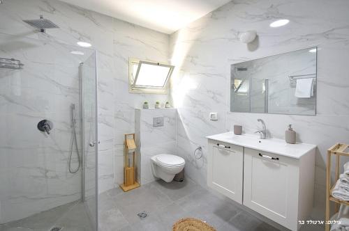 a bathroom with a shower and a toilet and a sink at MeravSuite in Migdal