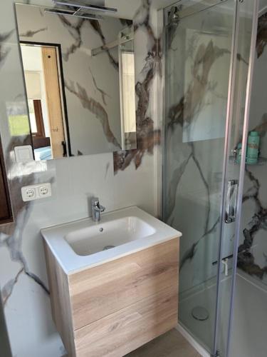 a bathroom with a sink and a shower at De oude stal in Sleen