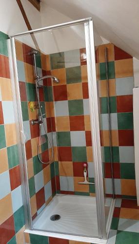 a shower with a glass door in a bathroom at Arie Chez Mimosa in Dému
