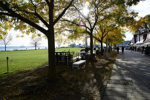 a park with trees and benches and people walking down a sidewalk at Villa Margarete in Sassnitz