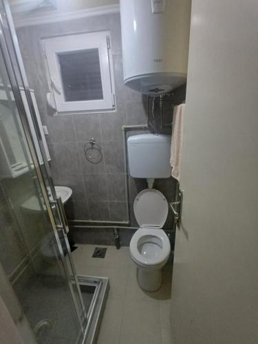 a small bathroom with a toilet and a sink at Montenegro Mountain Retreat in Podgorica