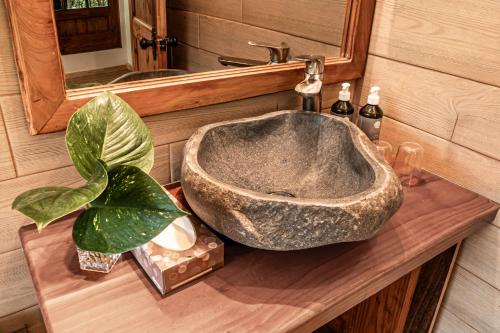 a bathroom with a stone sink and a potted plant at Rapa Nui, La Residence in Hanga Roa