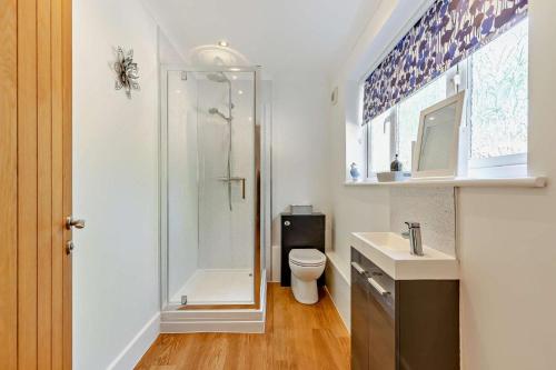 a bathroom with a shower and a toilet and a sink at 2 Bed in Godshill oc-78573 in Godshill