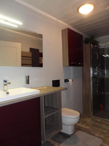 a bathroom with a sink and a toilet at La Maison De Béatrice in Murat