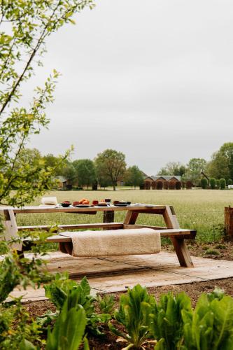 a wooden picnic table in a park with a field at Boshuis Haen in Ermelo