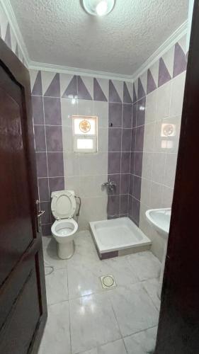 a bathroom with a toilet and a sink at شقة مفروشة in Ajloun