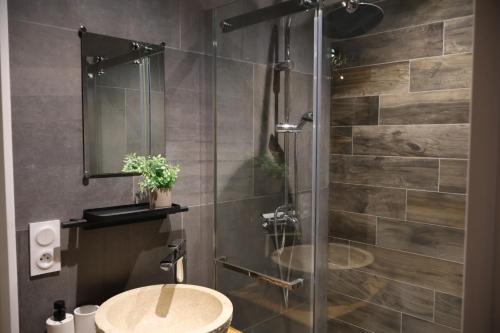 a bathroom with a shower and a sink at Le Reflet de la Semoy in Les Hautes-Rivières