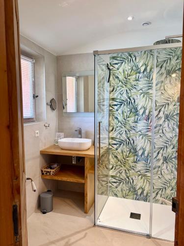 a bathroom with a glass shower with a sink at B&B La Badelle in Gordes