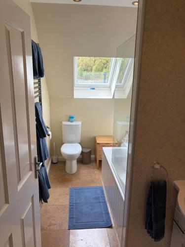 a bathroom with a toilet and a sink and a window at Rockpool Apartment in Acharacle