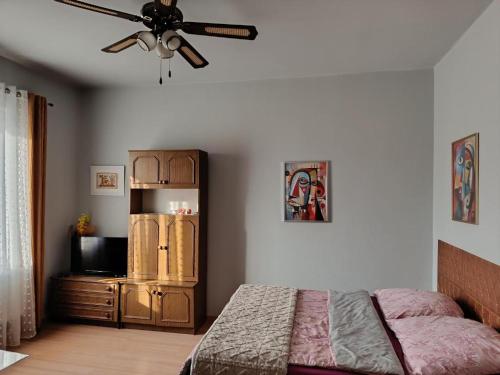 a bedroom with a bed and a ceiling fan at U Magdy apartament dla 4 osób 2 par parking w cenie samodzielne zameldowanie klucze w skrytce kod wysyłany przed przyjazdem in Borne Sulinowo