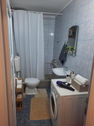 a bathroom with a toilet sink and a washing machine at Apartman Limski Kutak in Železnička Stanica Prijepolje