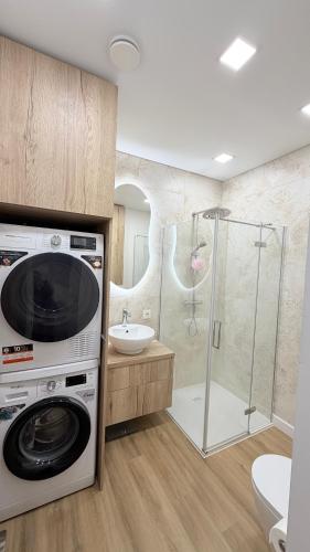 a bathroom with a washing machine and a shower at Apartamentai Trakų centre in Trakai