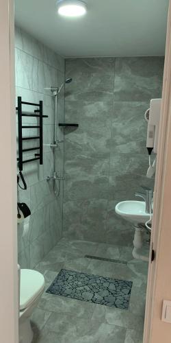 a bathroom with a shower and a toilet and a sink at Apartments House Pylypets in Pilipets