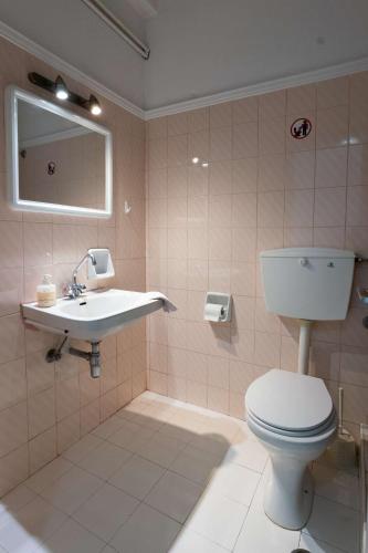 a bathroom with a toilet and a sink at Laloudaki Apartments in Tyros