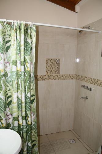 Oasis Bed and Breakfast tesisinde bir banyo