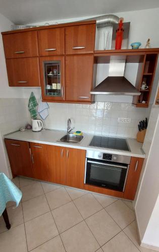 Apartment Teo