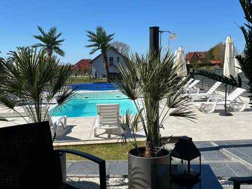 a swimming pool with two palm trees and chairs at Sunny Baltic in Jarosławiec