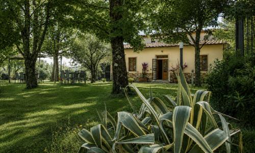 a house in a yard with trees and plants at Il Sottolo in Florence