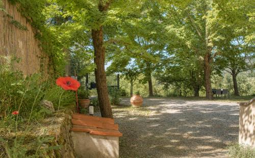 Il Sottolo photo 26
