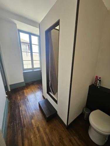 a bathroom with a toilet and a large mirror at Private Apartment in Rochechouart