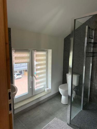 a bathroom with a toilet and a window at pokoje do wynajęcia in Grajewo