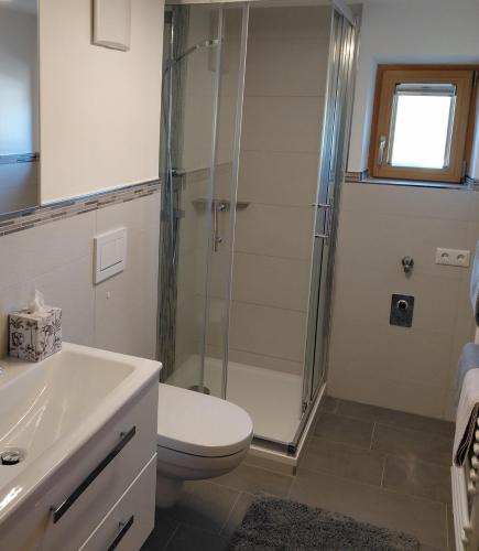 a bathroom with a shower and a toilet and a sink at Ferienwohnung Kollerlehen in Bischofswiesen