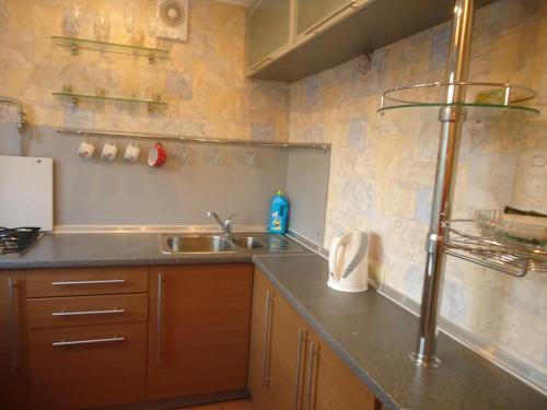 a kitchen with a sink and a counter top at Studio on Vandy Vasylevskoi 8 in Kyiv