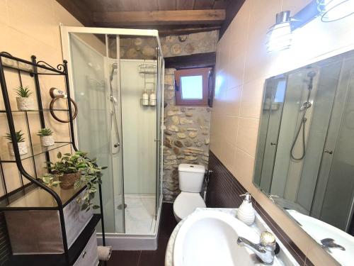 a bathroom with a shower and a sink and a toilet at La Cochera del Abuelo in Medina de Pomar