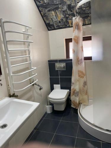 a bathroom with a toilet and a sink and a shower at Chalet Trushnyi in Palyanytsya