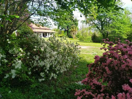 a garden with pink and white flowers in front of a house at Paradiso Nascosto del Lago Maggiore in Colazza