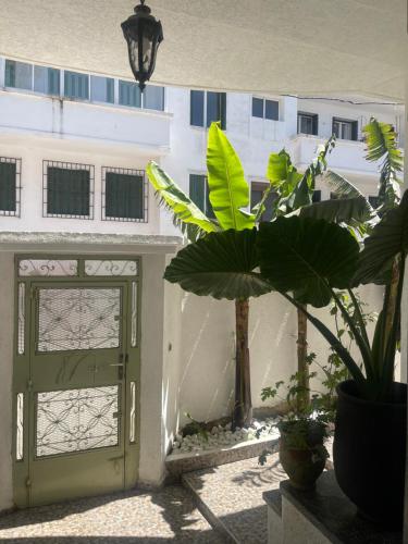 a green door with a plant in front of a building at Syrah Home in Tangier
