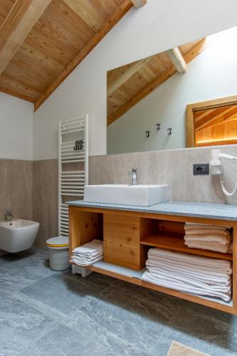 a bathroom with a sink and a toilet and a mirror at Dolomites Chalet Wolf in Molveno
